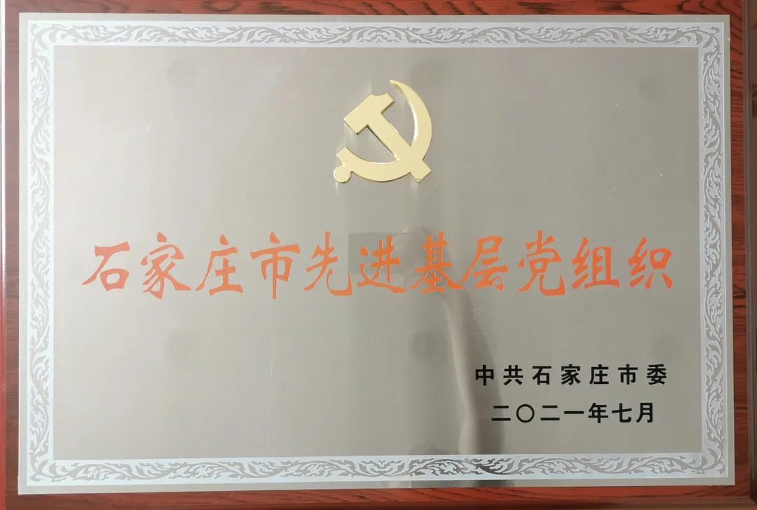 七一之际市五院党务工作再获殊荣