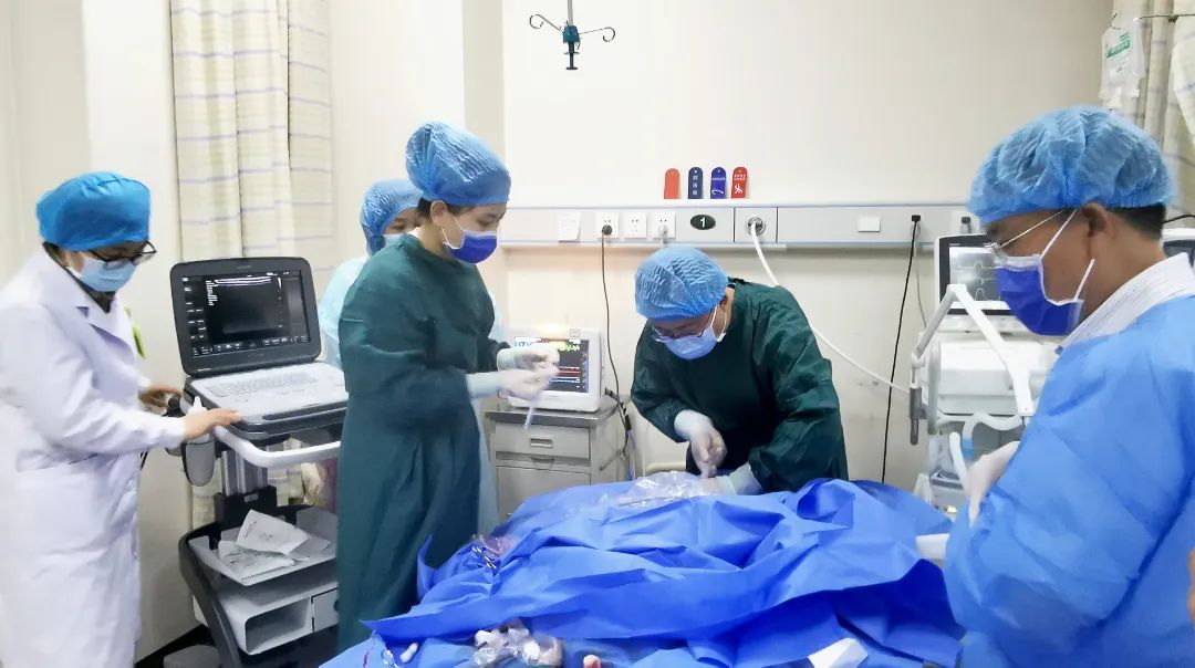 重症团队合作开展ECMO，呼吸窘迫患者重获新生