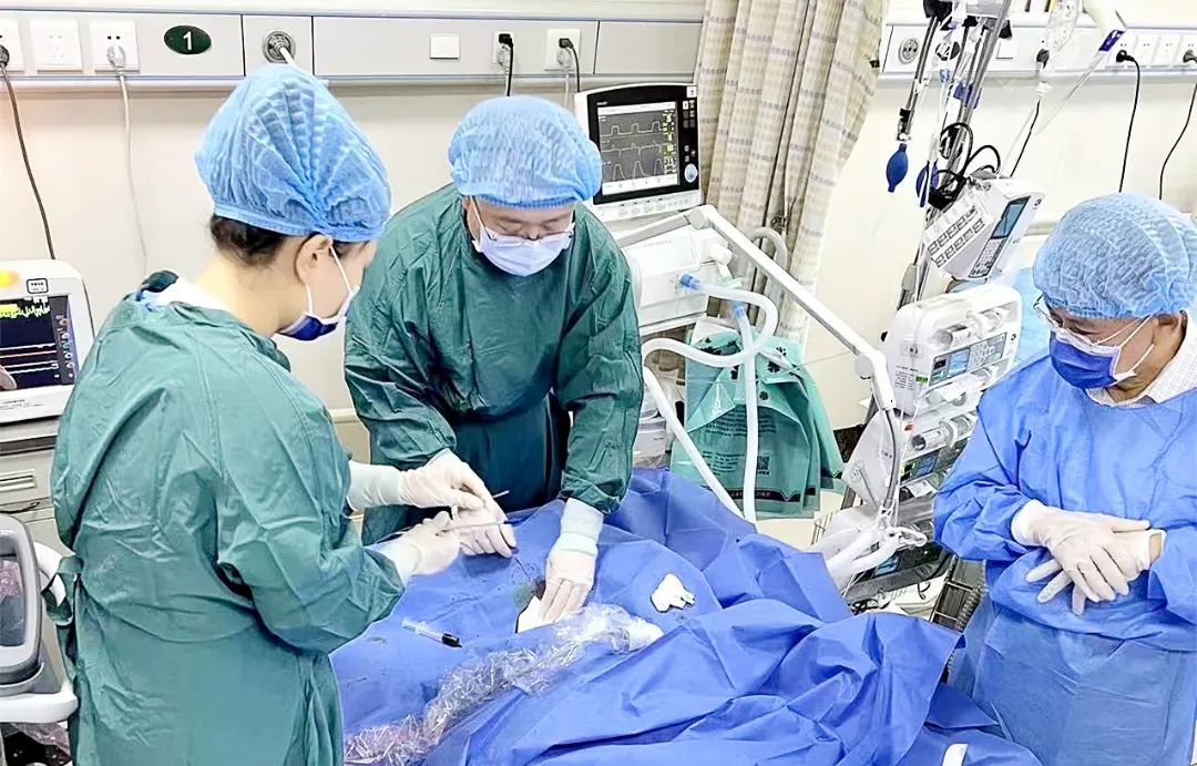 重症团队合作开展ECMO，呼吸窘迫患者重获新生