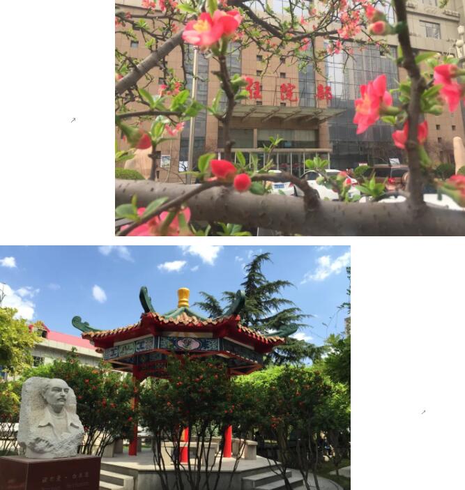 探访名医名科名院系列报道第四站——市第五医院奉献汇真情 为传染病患者打造一个家