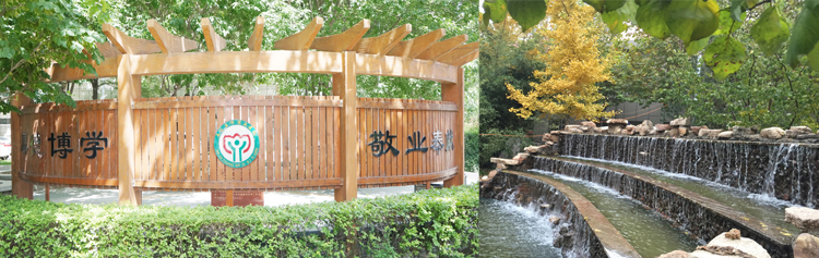 606bbf28433bc.jpg 606bbf28433bc.jpg