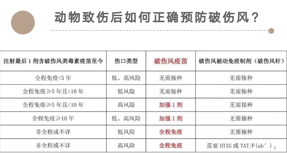 可防不可治的狂犬病,该如何预防? 可防不可治的狂犬病,该如何预防?