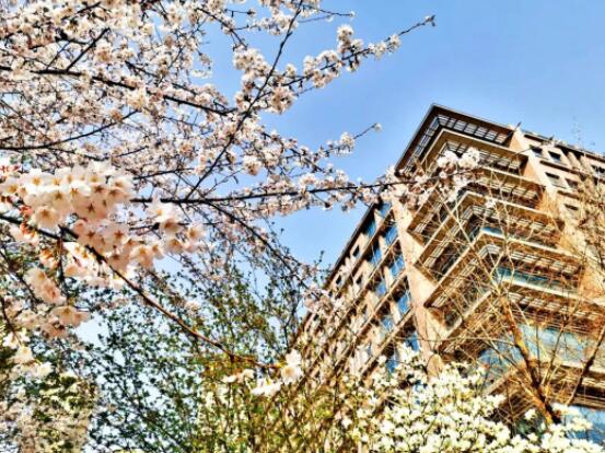 清明时节话养生 清明时节话养生