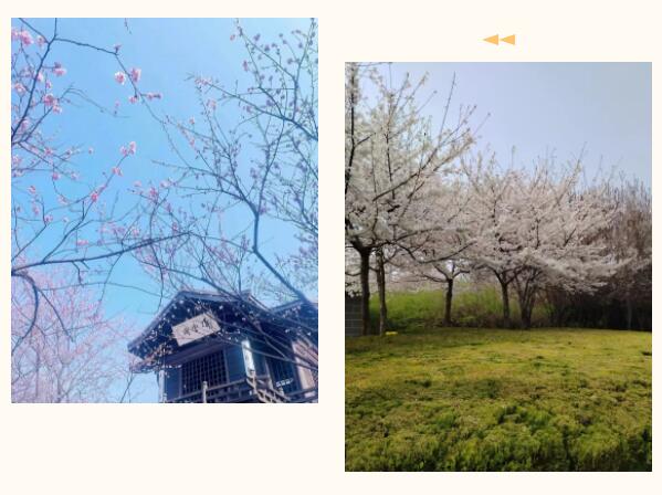 心脑血管病患者别忘了春季养生 心脑血管病患者别忘了春季养生