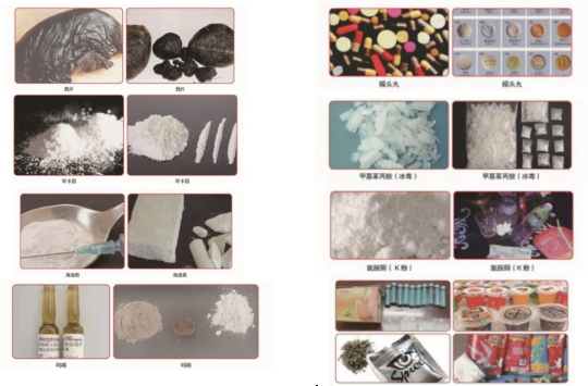全民禁毒宣传月：识毒防毒拒毒，享受健康人生