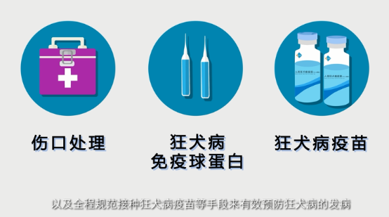 五院专家讲堂:预防狂犬病,您需要知道这些! 五院专家讲堂:预防狂犬病,您需要知道这些!