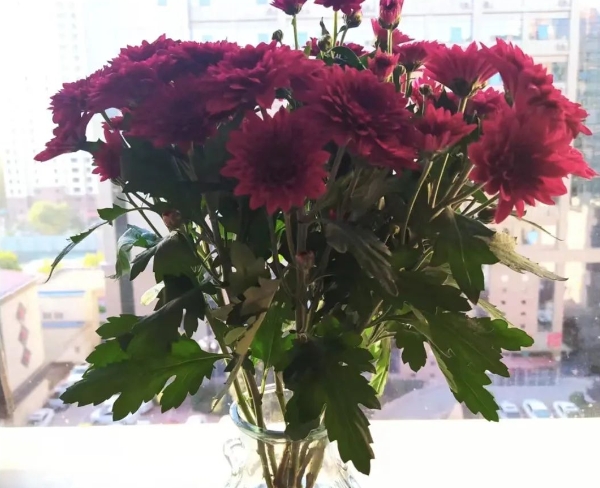 初冬时节 在市五院感受温暖……