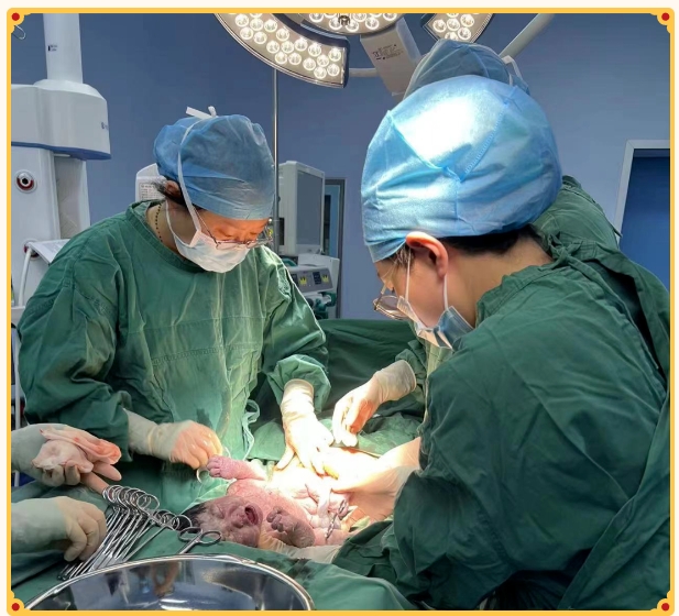 市五院喜迎“龙宝宝” 市五院喜迎“龙宝宝”