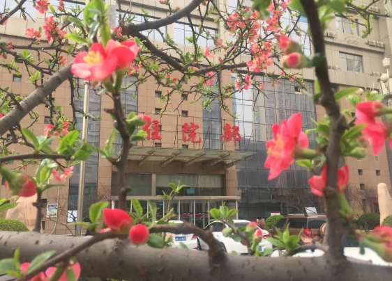 市五院住院攻略:从办理入院到康复出院,您都需要做什么?记得收藏哦~ 市五院住院攻略:从办理入院到康复出院,您都需要做什么?记得收藏哦~