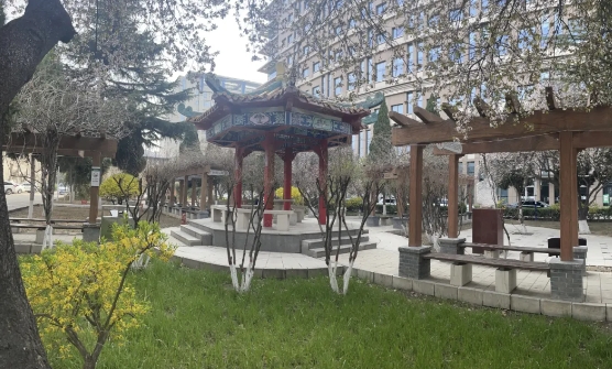 预防传染病 尽享好春光