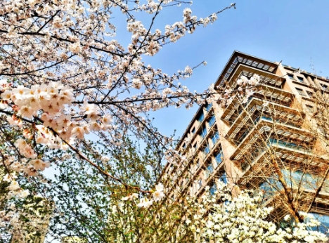 预防传染病 尽享好春光