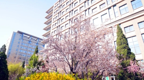 世界防治结核病日：全面行动 全力投入 全民参与 终结结核——石家庄市第五医院大型惠民活动开展以来服务群众上万人次